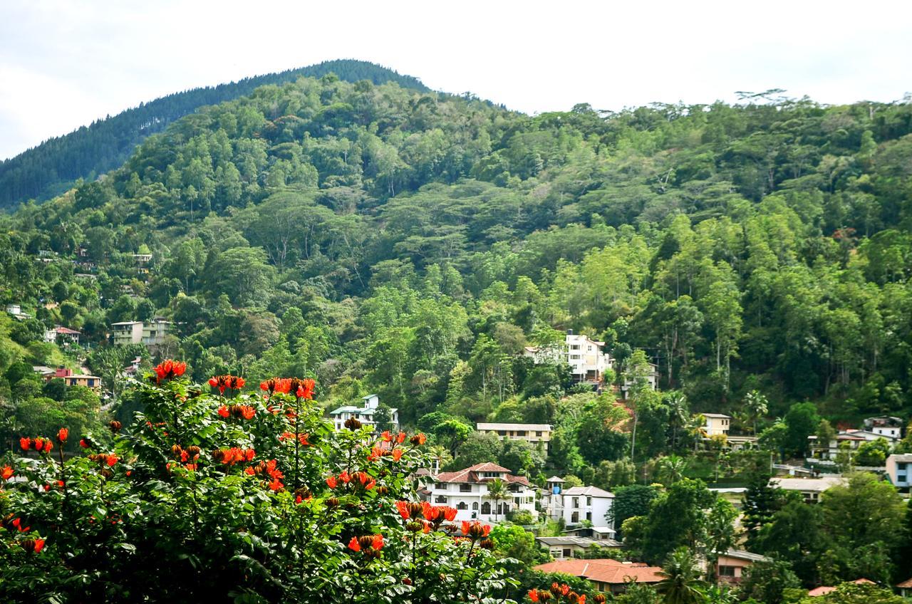 Villa Nine Kandy Extérieur photo